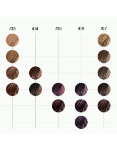 Tinte Color Touch Plus 60... 2