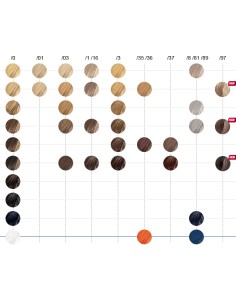 Tinte Color Touch Special... 2