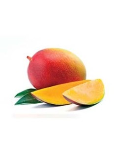 CHAMPÚ HIDRATANTE RIVIT... 2