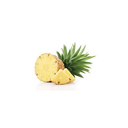 PACK RIVIT MAGIC SUN