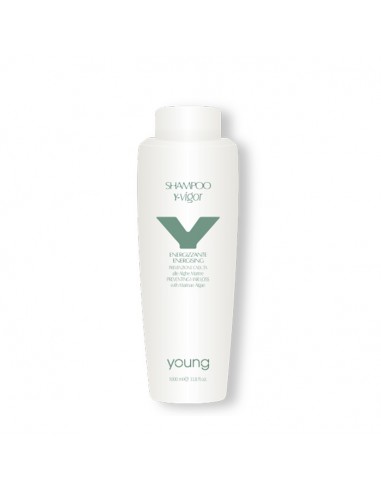 Champú Anti-Caida Y-Vigor 300 Young