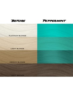 Tinte Semipermanente Menta... 2