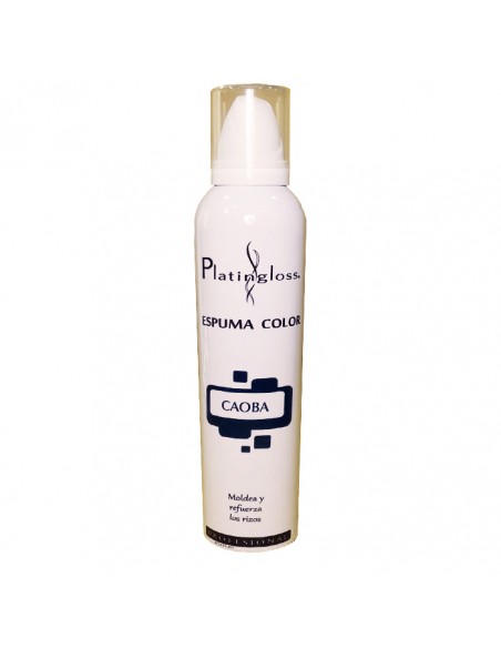 Espuma de Color 300 ml Platingloss