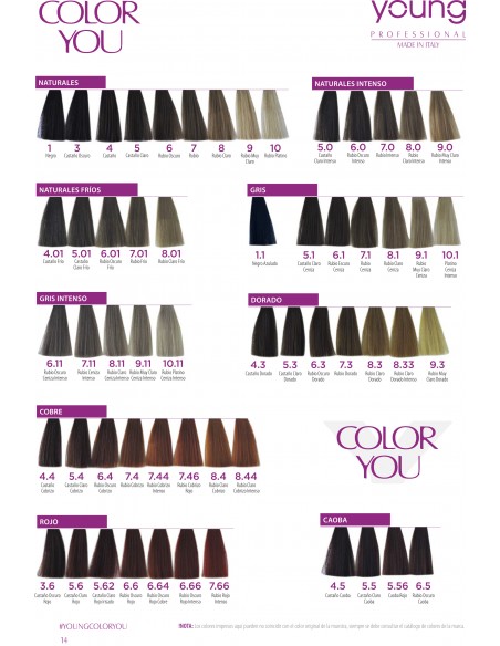 Tinte Color You Y- Plex 100 ml  Young