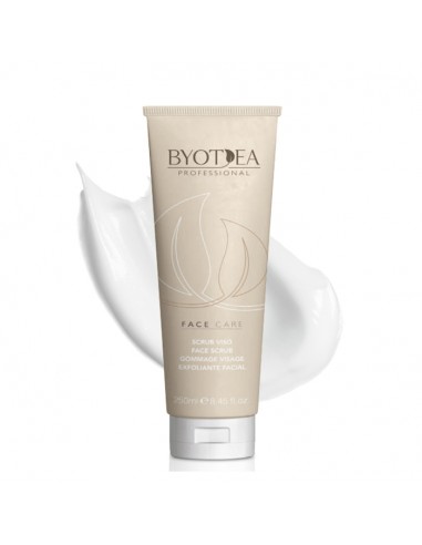 Mascarilla Exfoliante Facial 250 ml Byotea