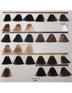 Tinte Inebrya 100 ml 2