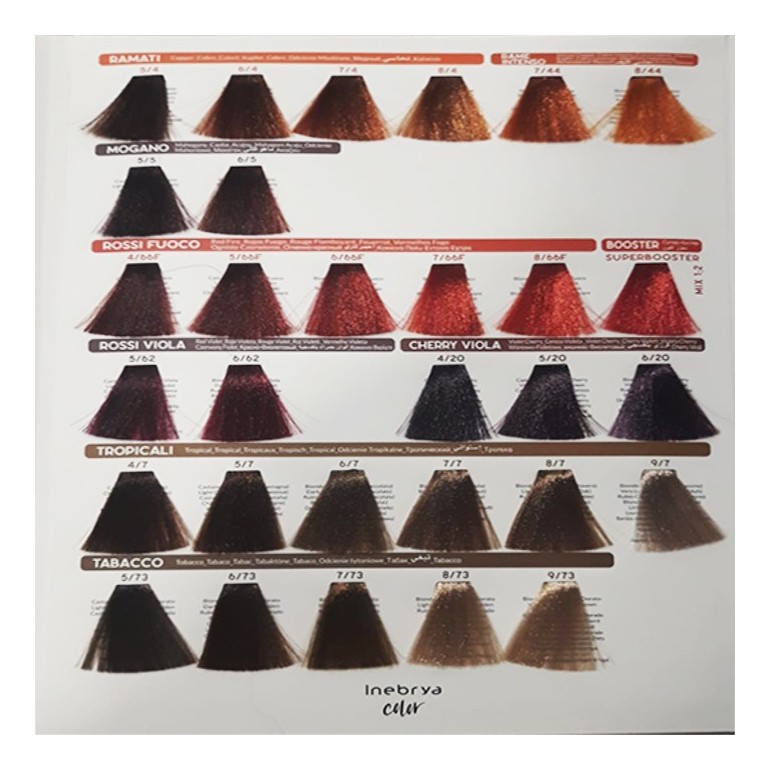 Tinte Inebrya 100 ml