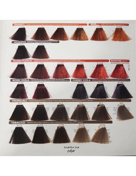 Tinte Inebrya 100 ml